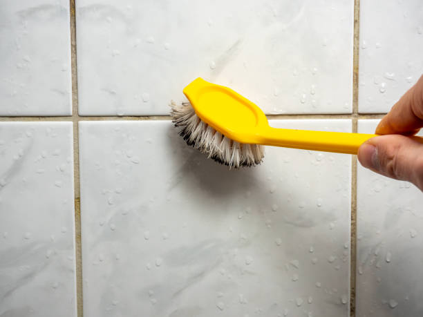 Best Office Mold Removal Services  in Helena, AL