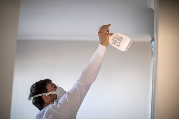 Certified Mold Removal in Helena, AL